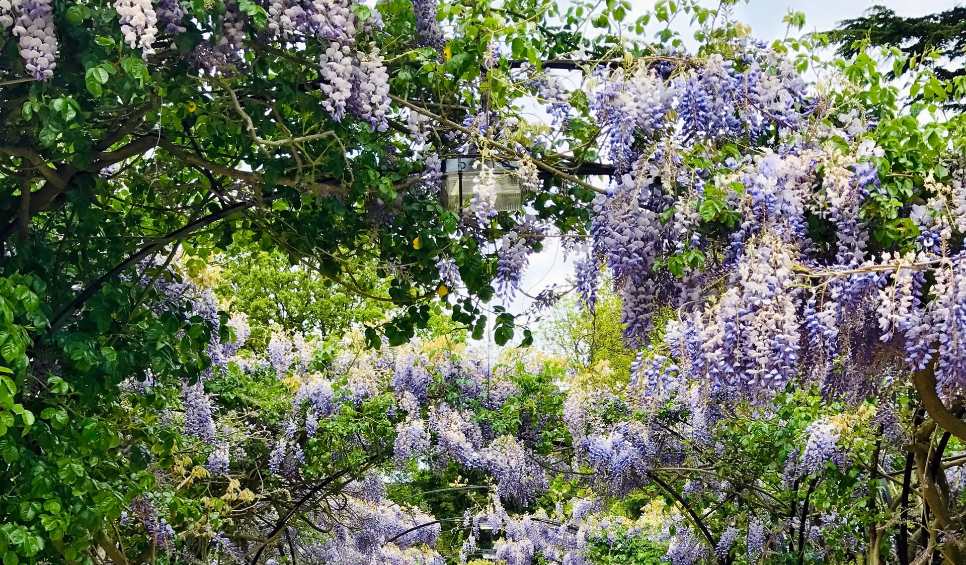 No fuss cremations with bespoke and unique farewells